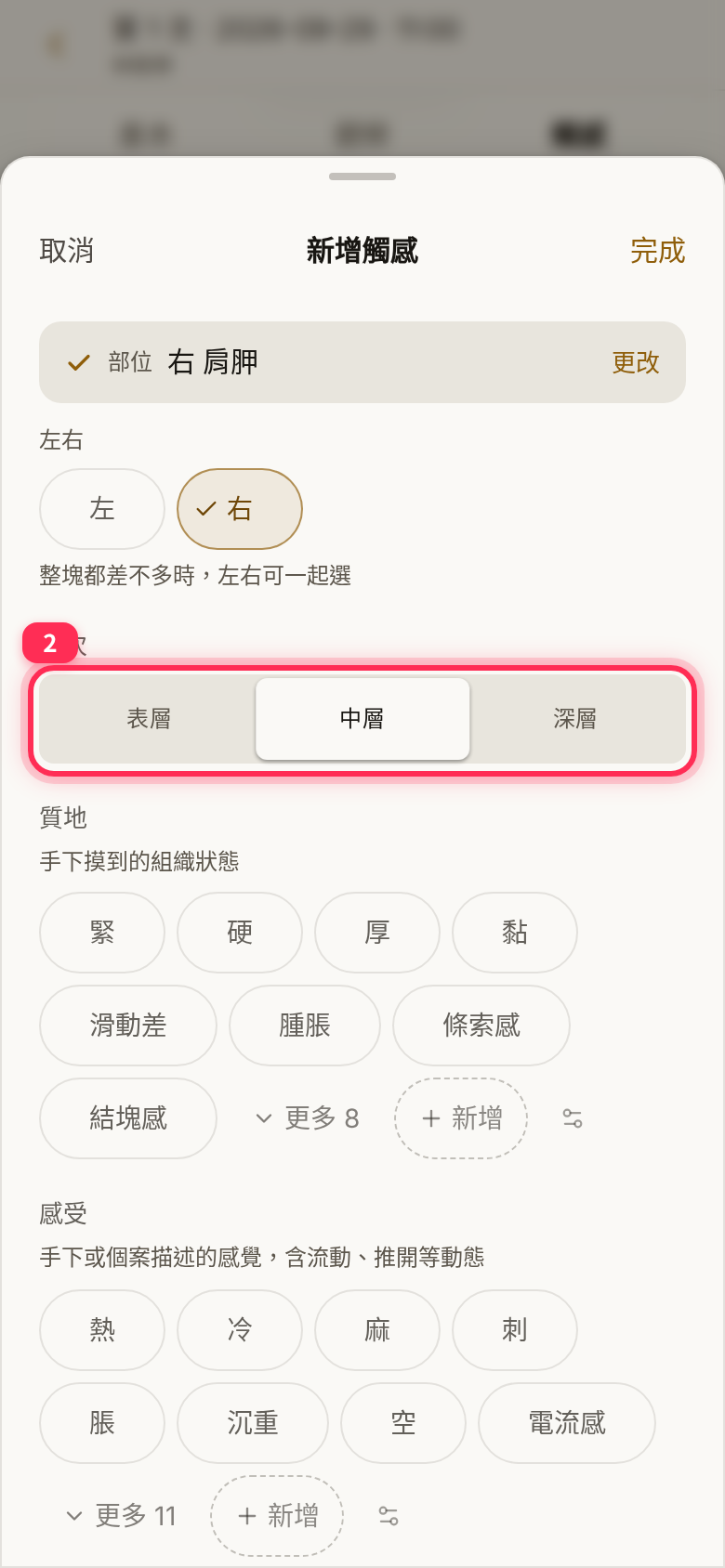 「新增觸感」視窗:部位右肩胛、左右選右,層次選中層