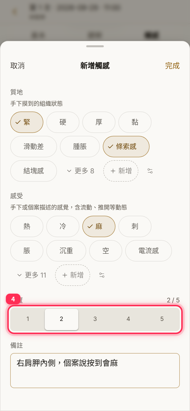 強度選了 2(顯示 2 / 5),備註寫了細部位置與個案的話